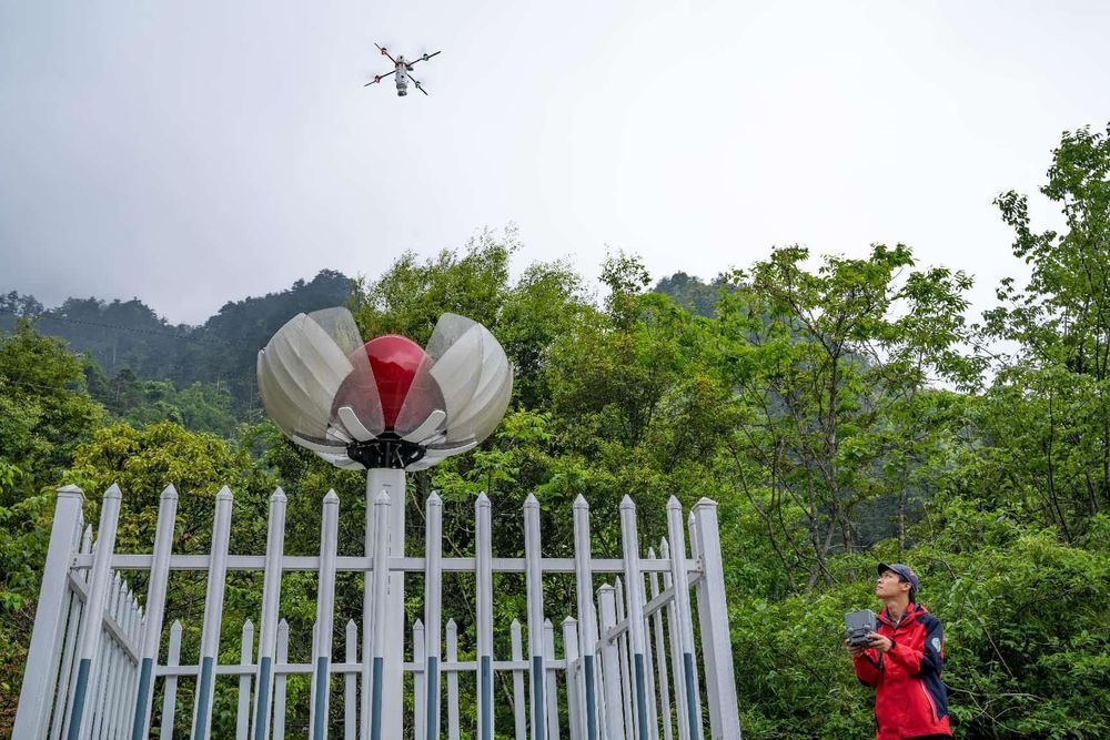 China's ecological protection red line system strengthens ecosystem ...