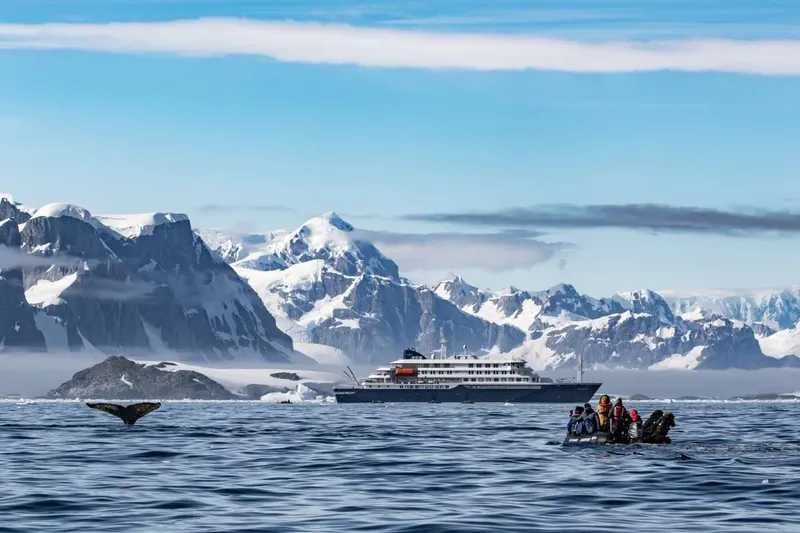 What to know about hantavirus after 3 died in suspected cruise ship outbreak