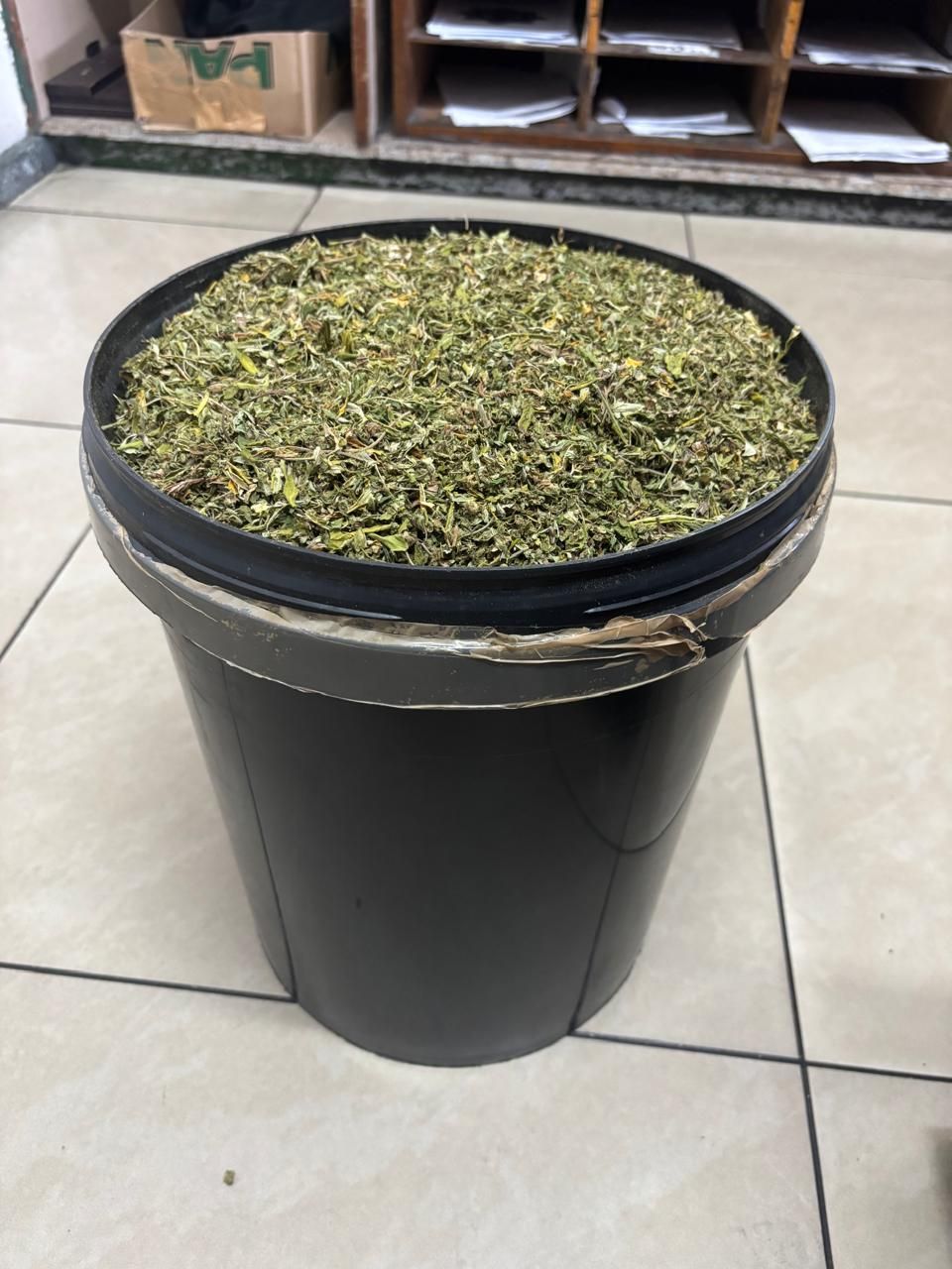 Suspect's bizarre 'bird-food' excuse after 3kg dagga bust