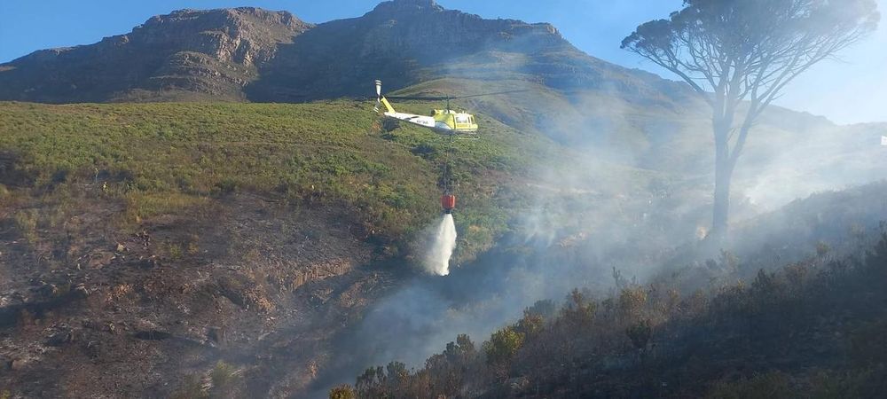 Investigation launched into contained vegetation fire on Devil’s Peak