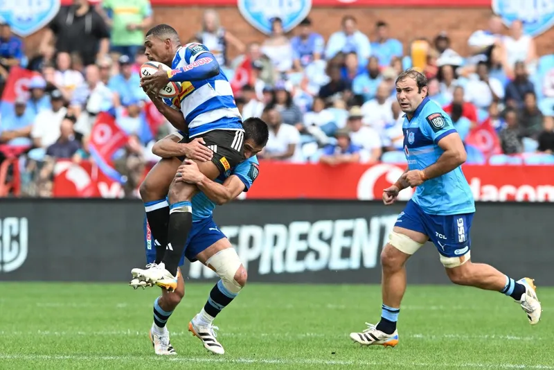 Stormers bounce back against Bulls as focus turns to crucial URC home run