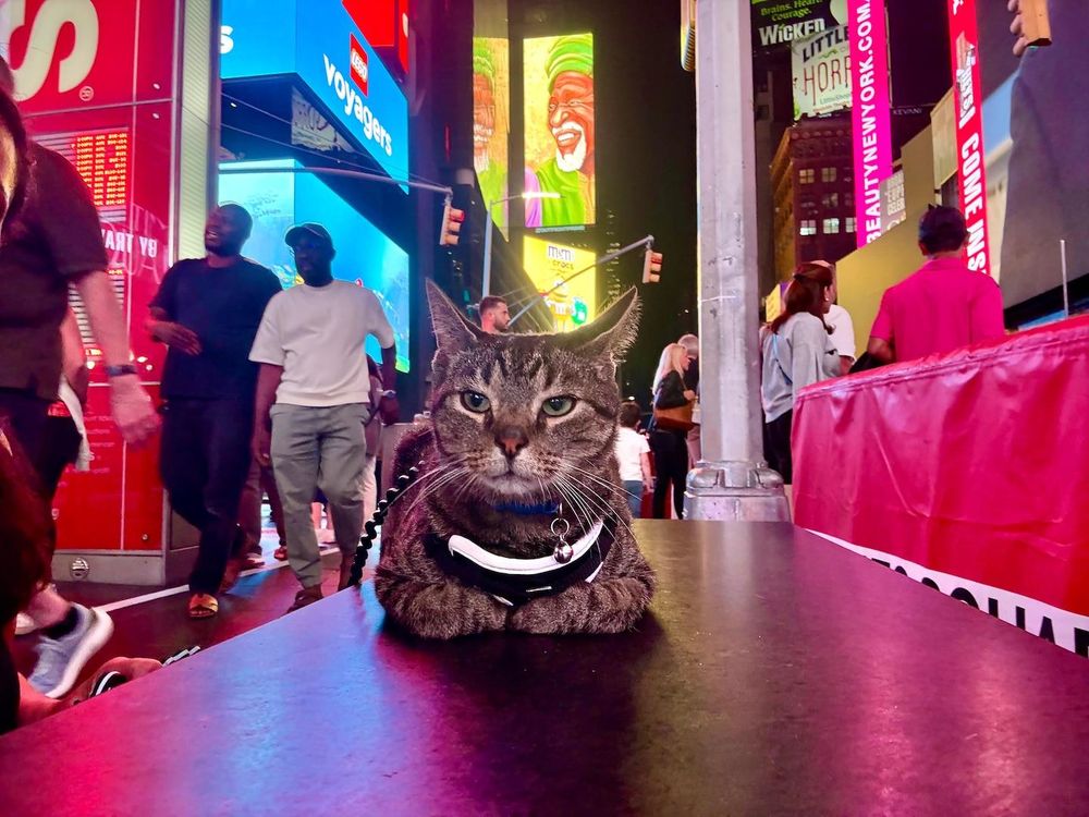 Pets bring joy, laughter, and purpose in 2025