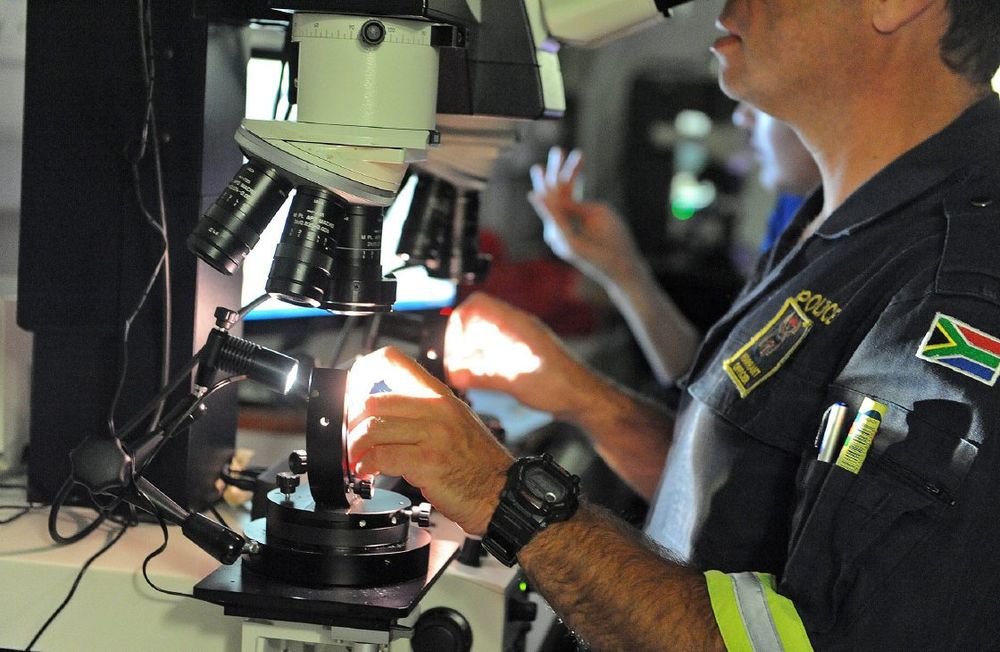SA forensic system's 300,000 DNA exhibit backlog and its impact on crimefighting