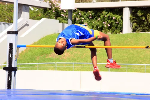 Championships — a race against time and a lack of resources, says schools' athletics officials