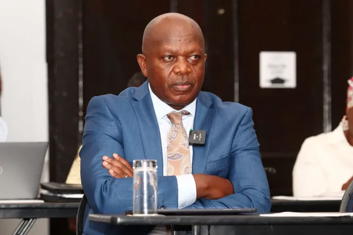 Deputy Minister in the Presidency for Planning, Monitoring and Evaluation Seiso Mohai has been appointed to lead the troubled Public Investment Corporation (PIC).
