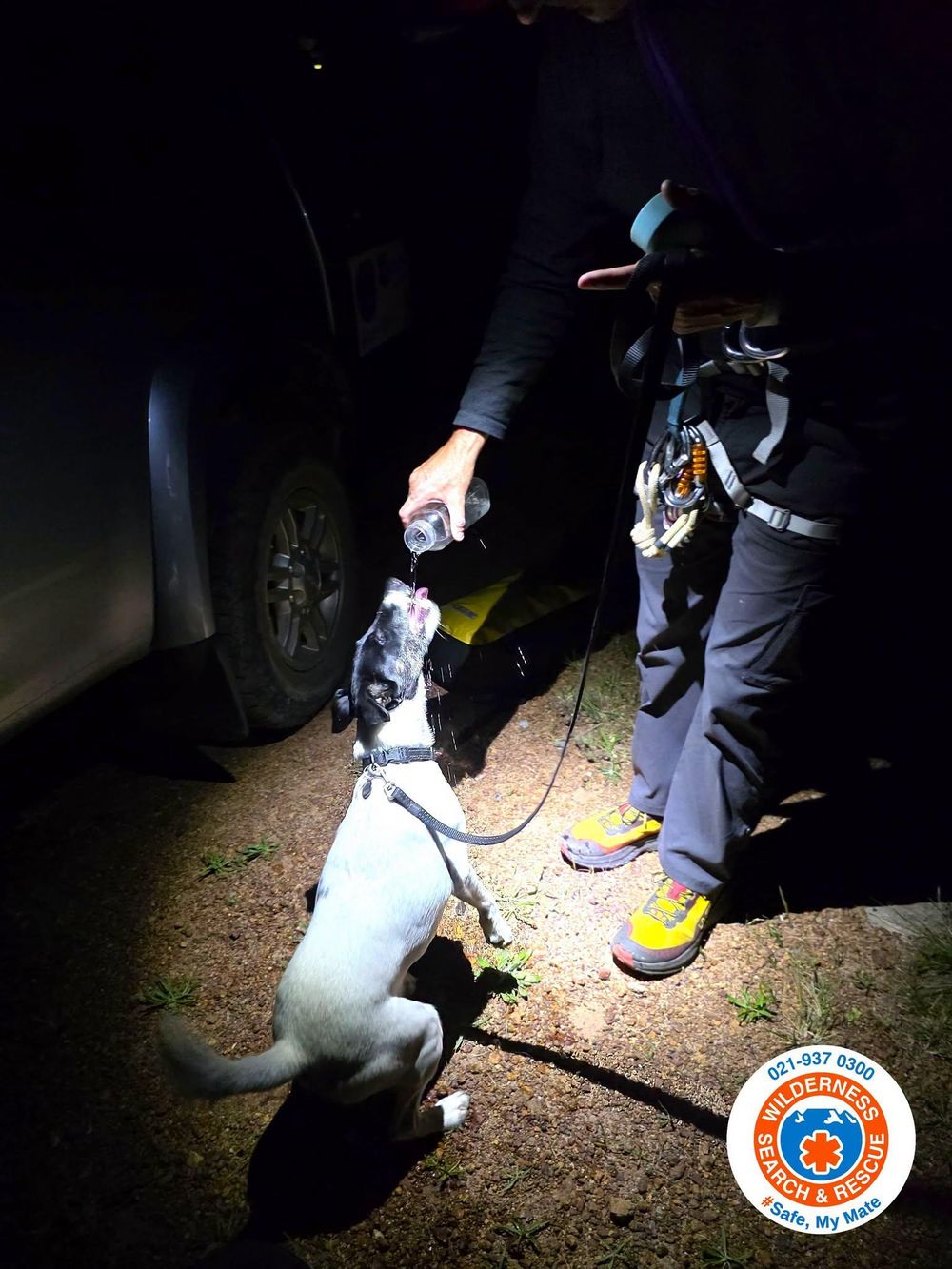 A tahr too far: Dog rescued after chase leaves it stranded on Table Mountain