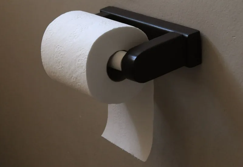 Labour Court orders reinstatement, R120k backpay for worker fired over toilet paper 'theft'