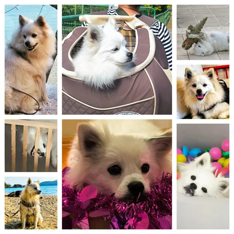 Leo’s lawlessness reminded me why home feels unsafe