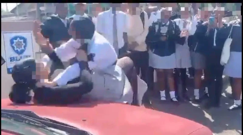 Stabbed with a compass: two Chatsworth schoolgirls suspended after violent fight caught on video