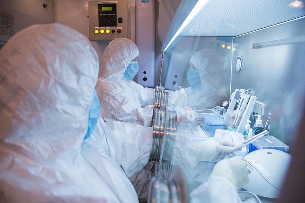 WHO requests info from Russia after Siberia lab worker death