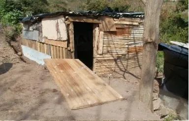 eThekwini municipality faces escalating land invasions ahead of 2026 elections