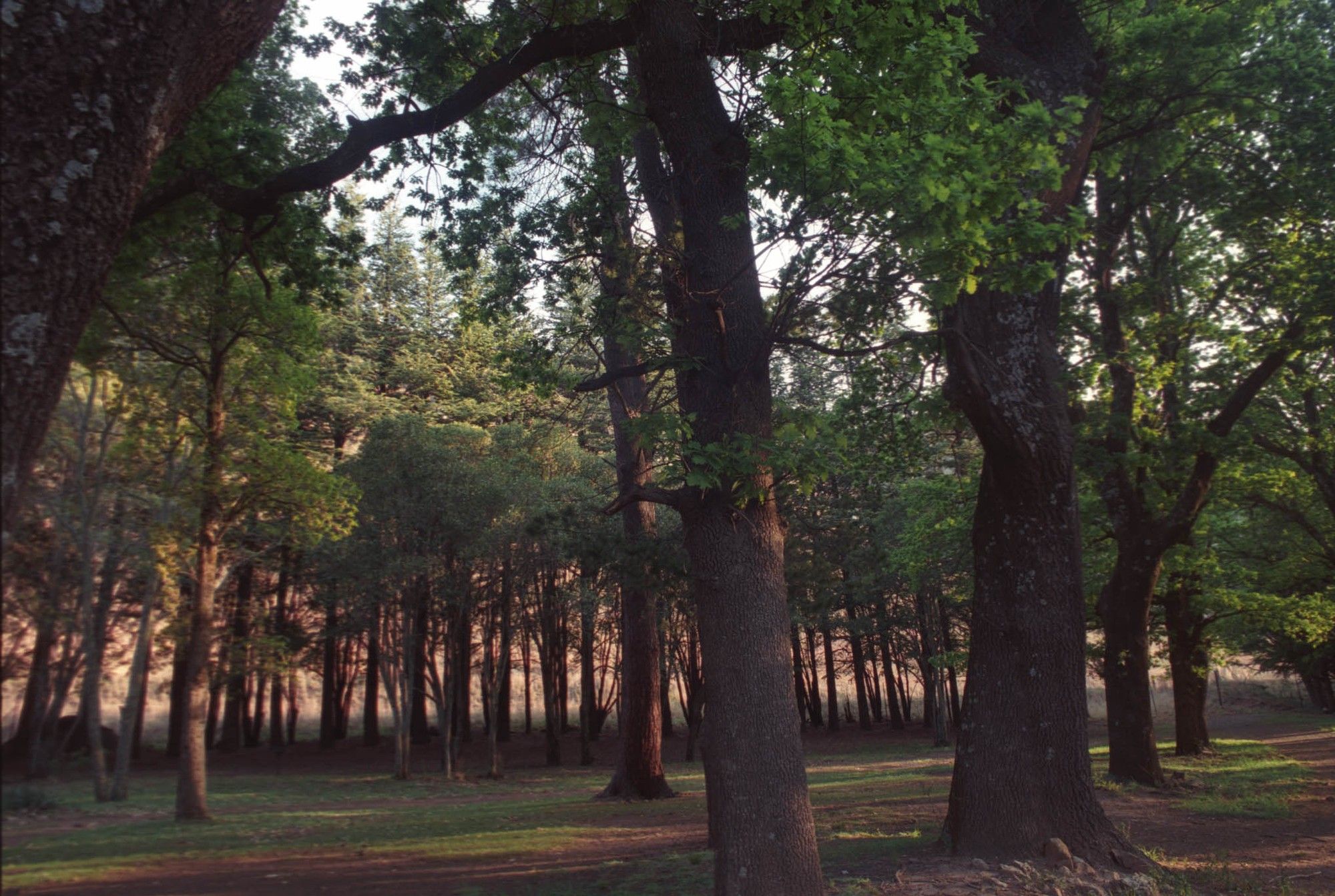 how-the-fashion-industry-can-reduce-it-s-carbon-footprint