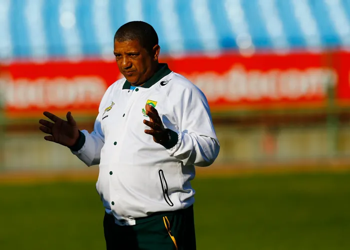 Coetzee successfully masterminded the win against France