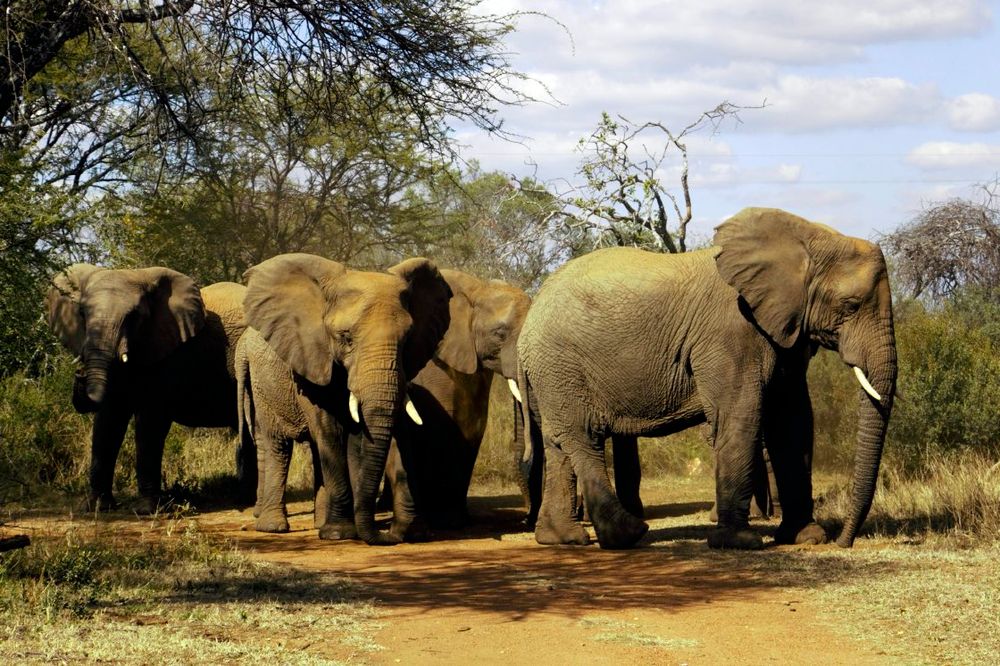 Five scenic getaways near Johannesburg that aren’t the Drakensberg