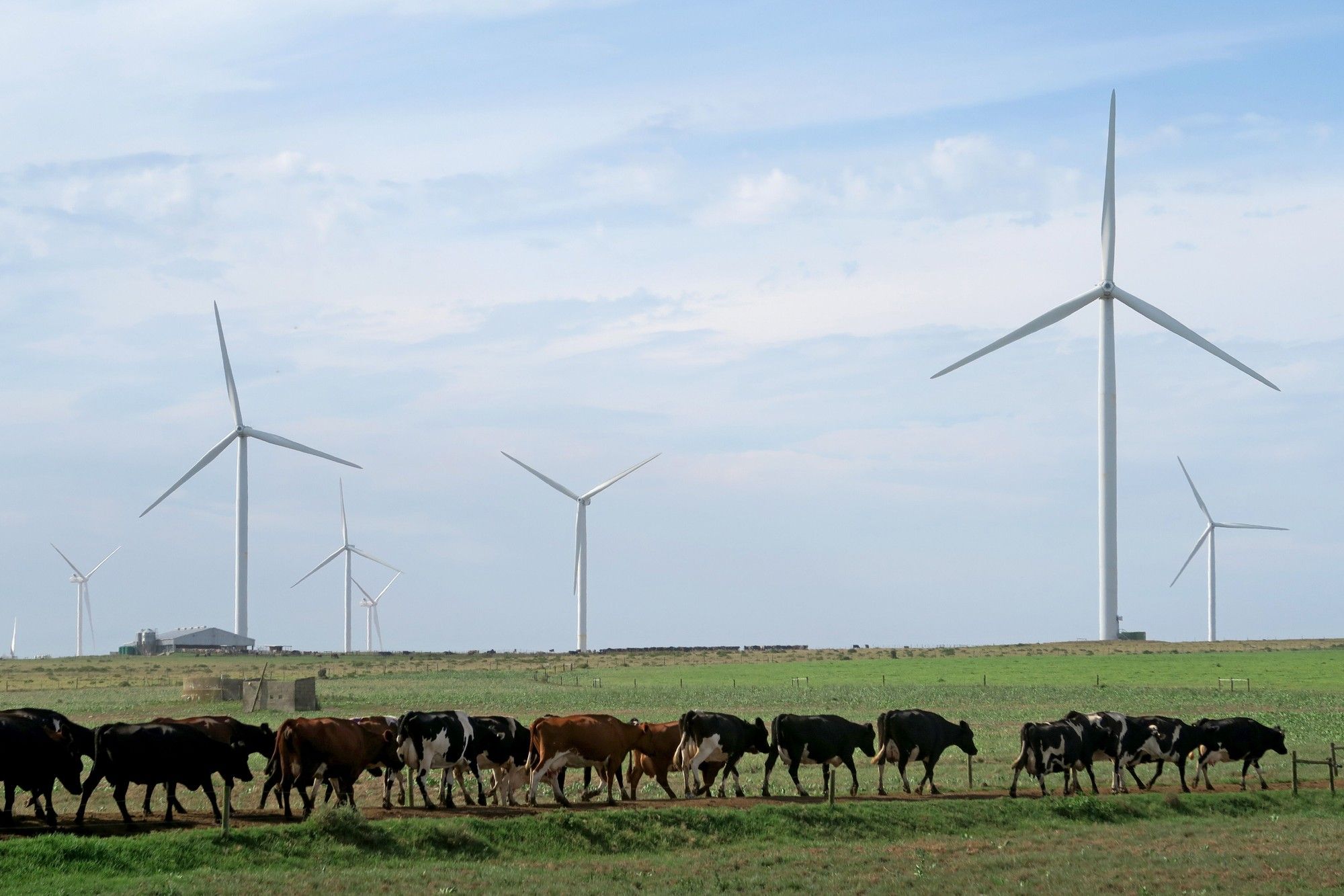 $99 Billion is a huge goal: The pursuit of renewables in South Africa