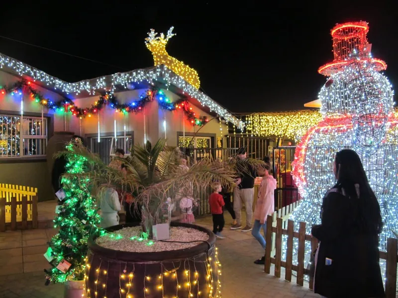 Brackenfell Christmas lights shine bright for people and animals alike