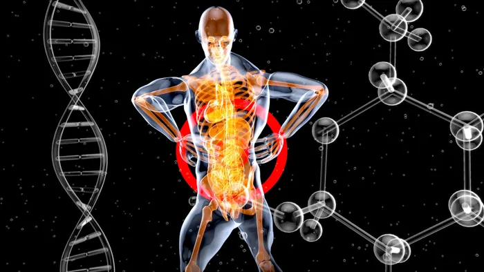 The body as an engineering problem is often longevity science's favourite self-image. 