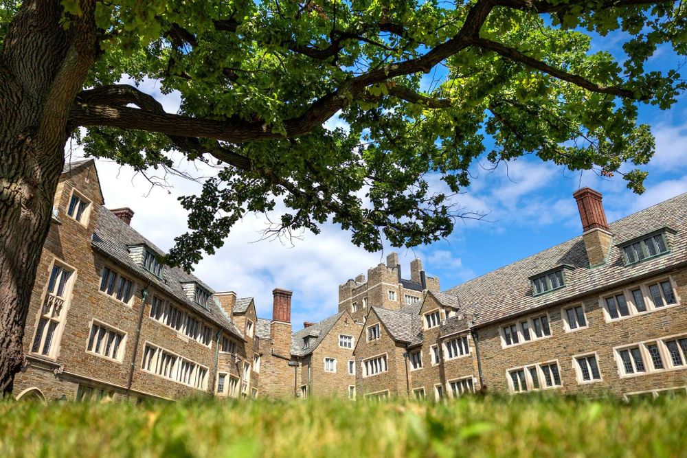 US prosecutors reopen Cornell gang rape case after outcry - IOL