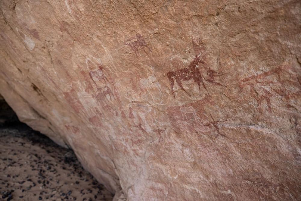 Earliest known rock art discovered in Indonesia