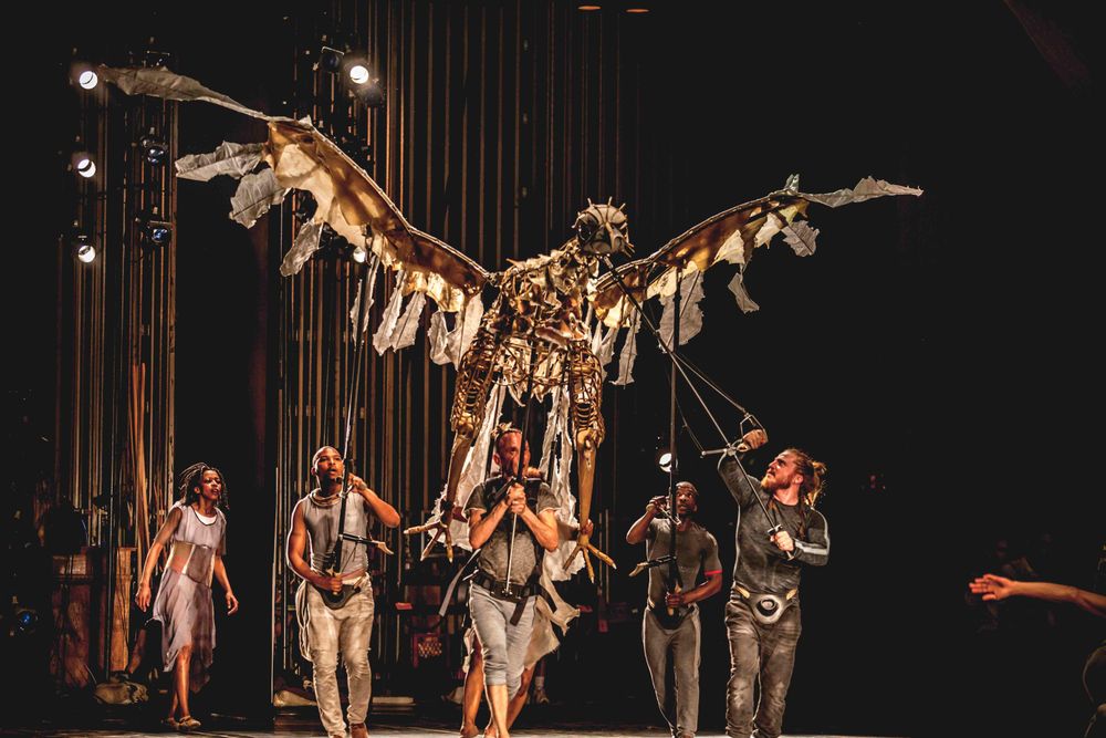 Experience the magic of Janni Younge's The Firebird in Cape Town