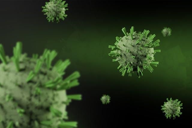 All 17 Americans aboard hantavirus-hit cruise ship evacuated to Nebraska