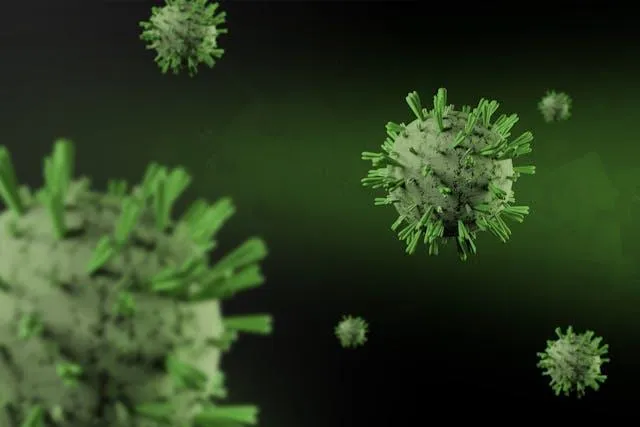 All 17 Americans aboard hantavirus-hit cruise ship evacuated to Nebraska