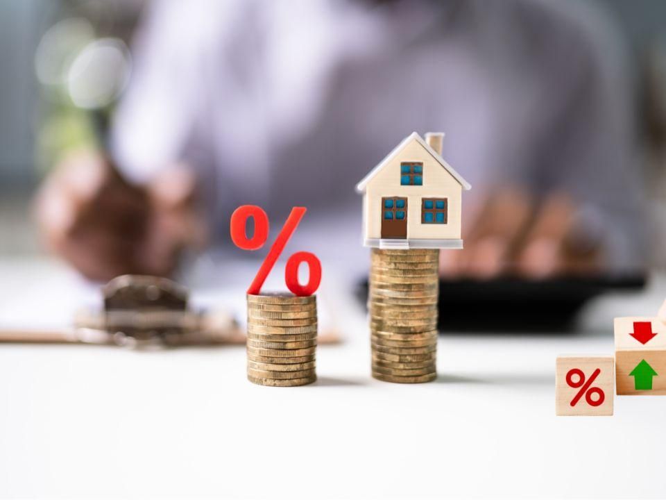 Government says long-overdue repo rate cut will ease the cost-of-living squeeze