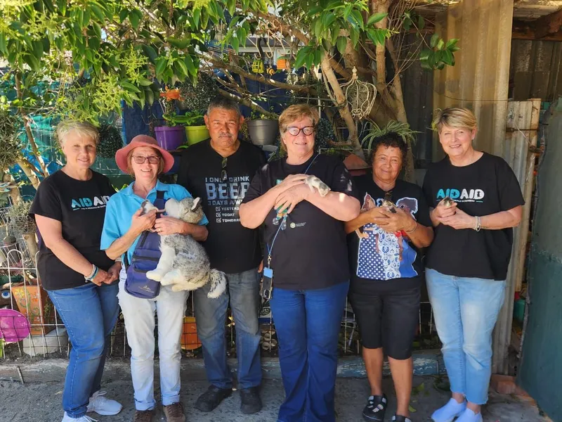 Westlake couple rescues five trapped kittens