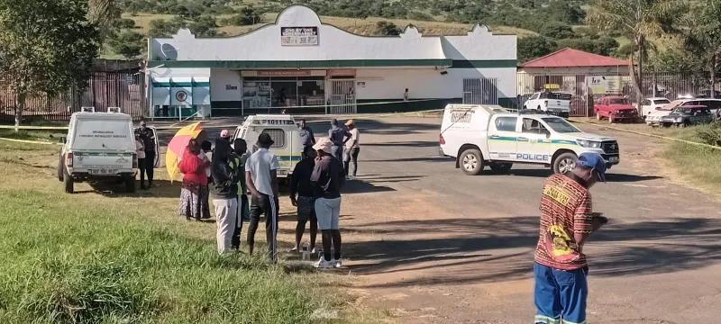 Mentally challenged man mauled to death by pit bulls in Mpumalanga