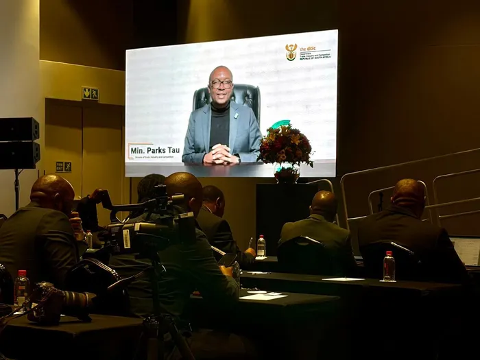 The Minister of Trade, Industry and Competition, Parks Tau, virtually addressing the inaugural National Policy Dialogue on Innovation and Industrialisation in Johannesburg on Friday.