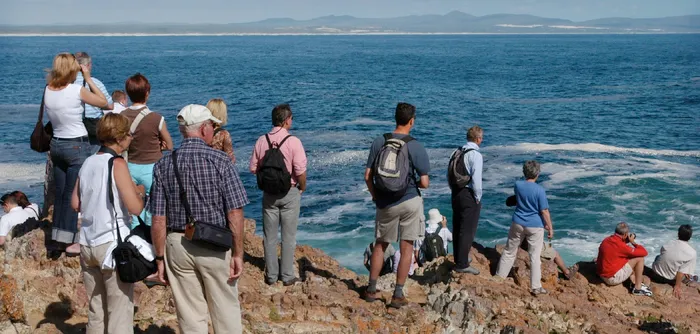 Between July and November, whales can often be seen from the shoreline, making Hermanus a favourite destination for both local and international travellers.