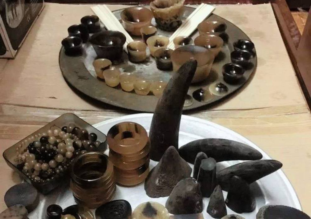 Rhino horn legalisation bid fails at CITES