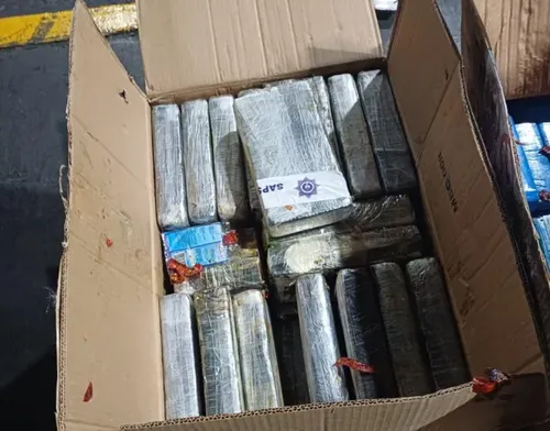 Africa Is Becoming a Cartel Production Line