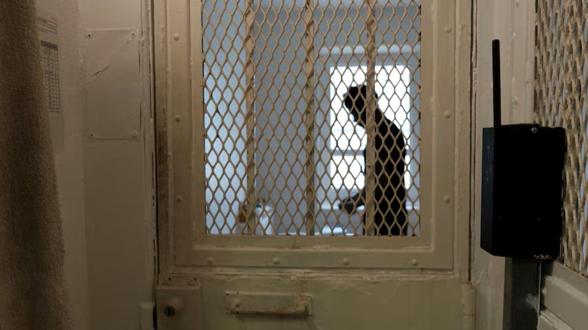 State's appeal leads to life imprisonment for Facebook rapist