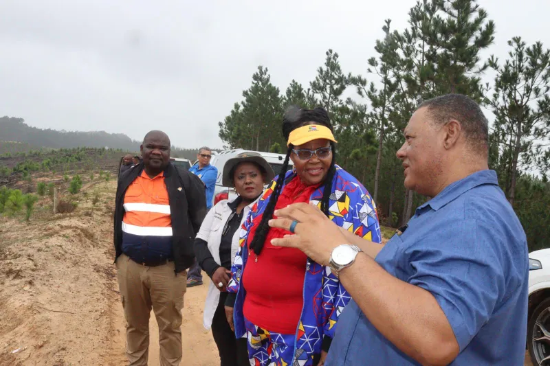 R20 million emergency funding to tackle Knysna's water crisis as Day Zero looms