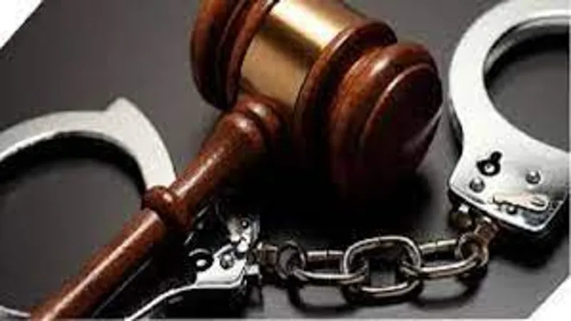 Western Cape Hawks re-arrest drug mule after court no-show