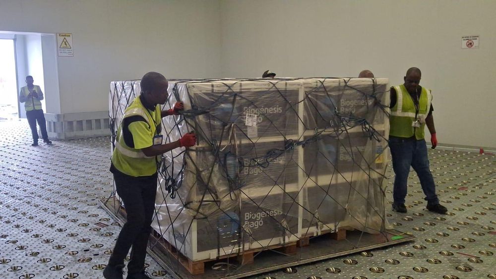 KZN, Gauteng and Free State set to receive first doses of Foot and Mouth Disease vaccines