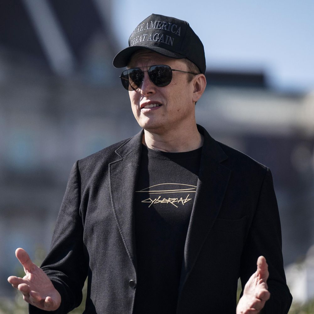 Open letter to Elon Musk: SA tech bro's love you