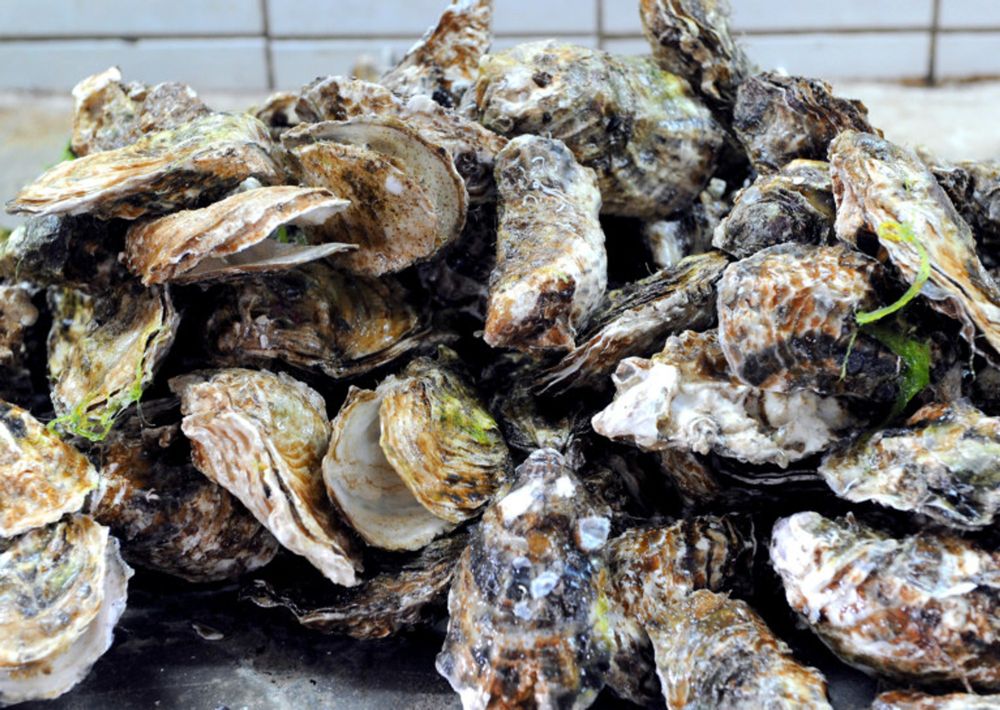 Ben Brasch and Washington Post|Published 8 minutes ago Seafood heists expose the underbelly of cargo theft in New England