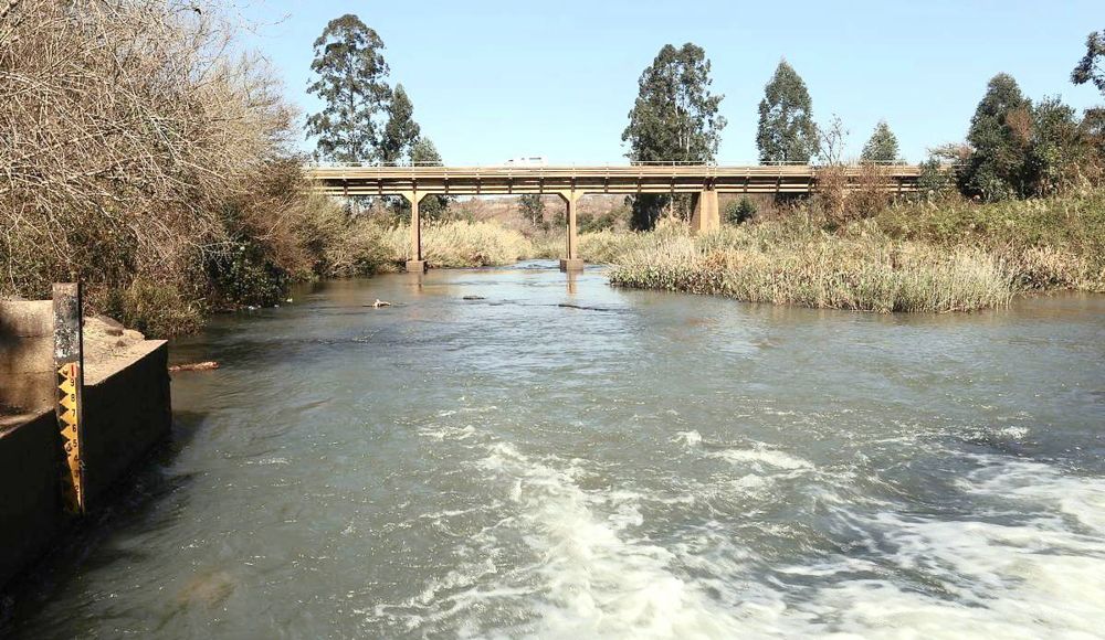 Save Albert Falls Association threatens legal action over sewage pollution - IOL