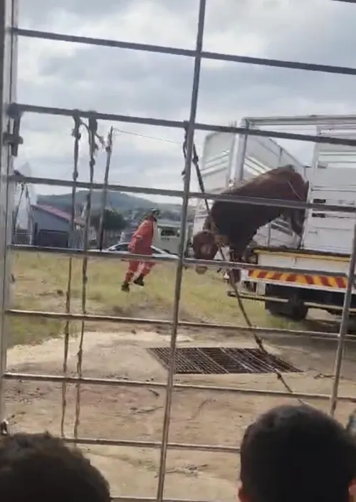 Stray bullet kills 12-year-old girl during Eid al-Adha qurbani in Free State