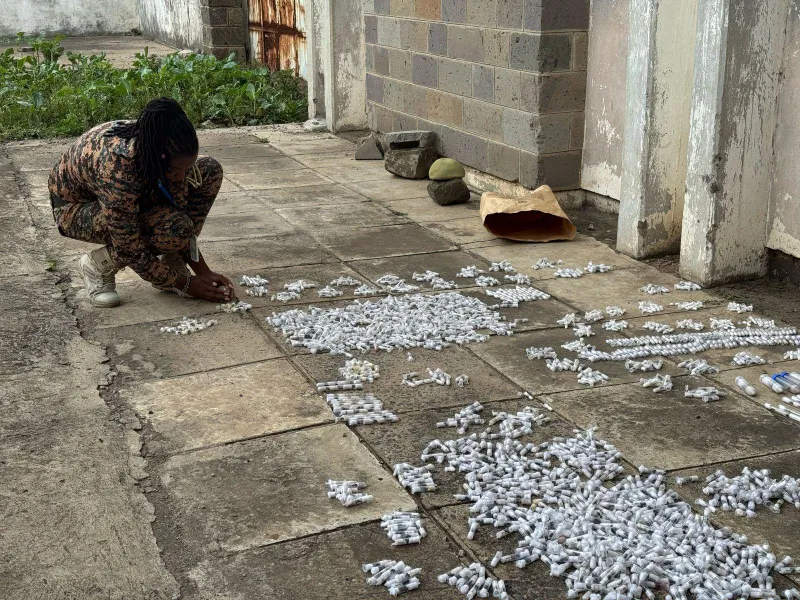 Rare-ant smugglers sentenced in African state