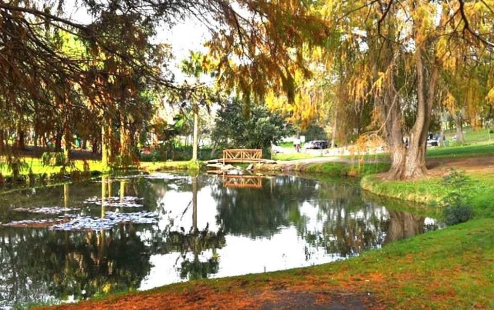 Discover Wynberg Park: A historical community hub for families