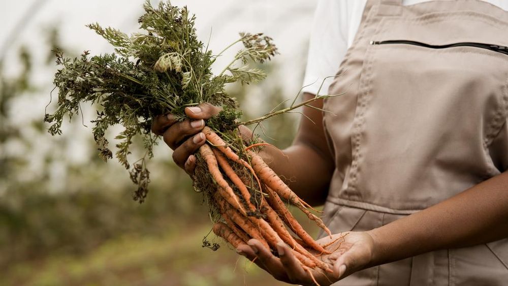 The secret engine helping grow South Africa’s economy