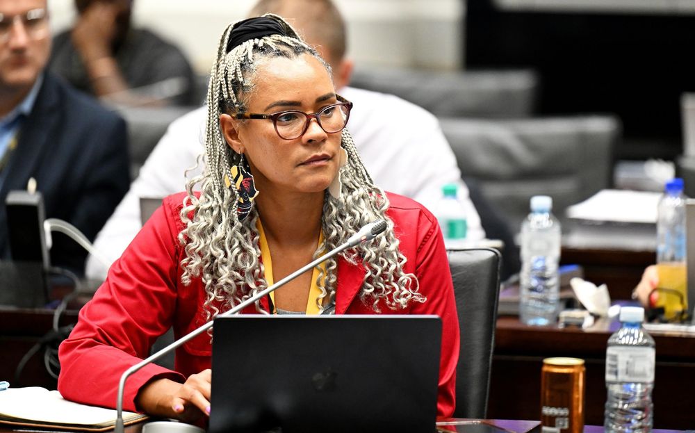 Parliament denies EFF's allegations of political bias in Ad Hoc Committee