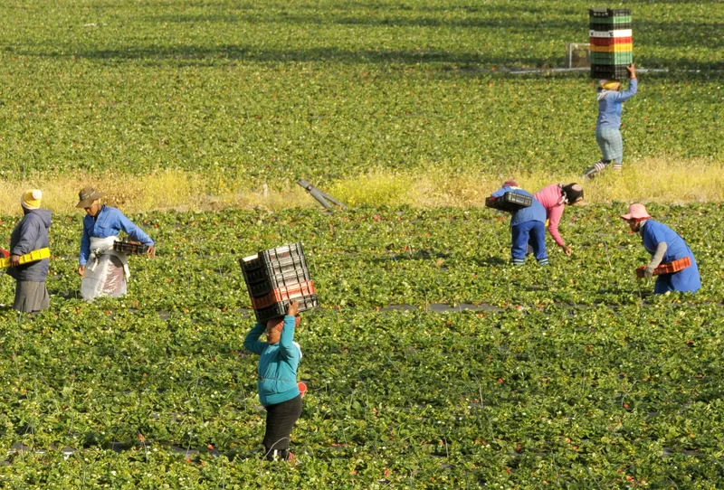 The agricultural industry is still generating jobs, despite some concerns surrounding it