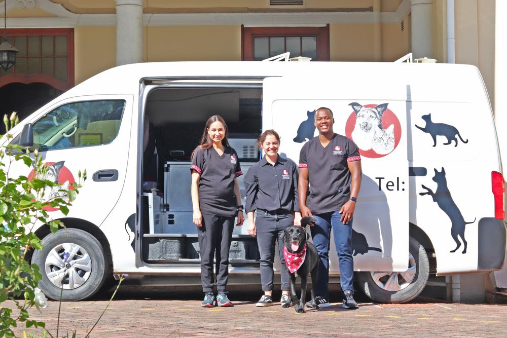 Animal Rescue Organisation raises over R134 000 at annual fund-raising ...