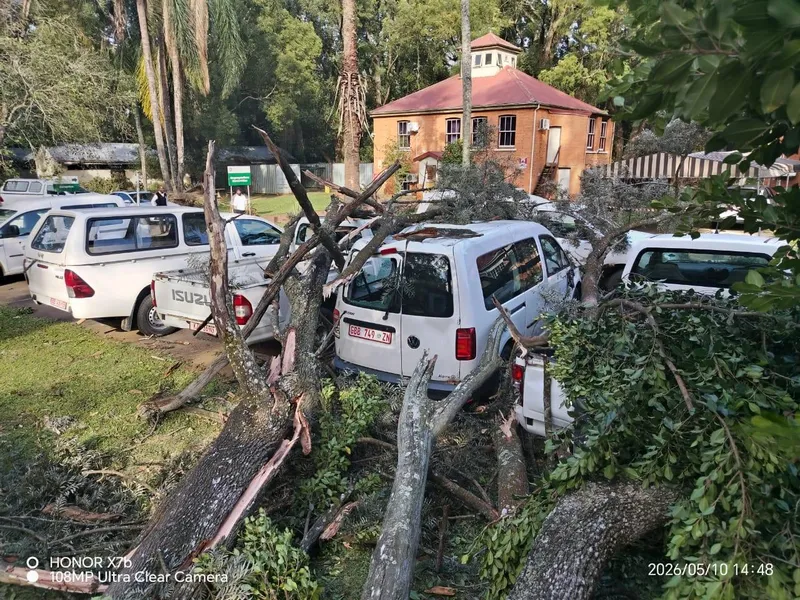 Severe Berg winds cause damage and injury in KZN communities