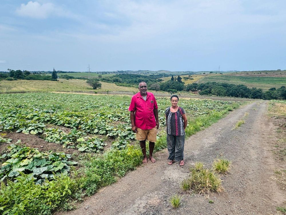 Price pressures and red tape: the plight of a local vegetable farmer