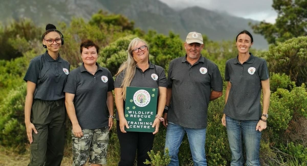 Western Cape’s first wildlife rescue centre opens